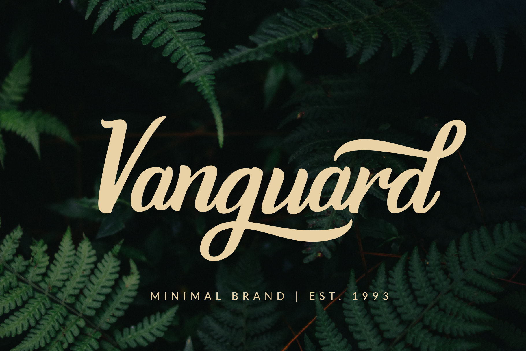Burgundy Font - Preview 3