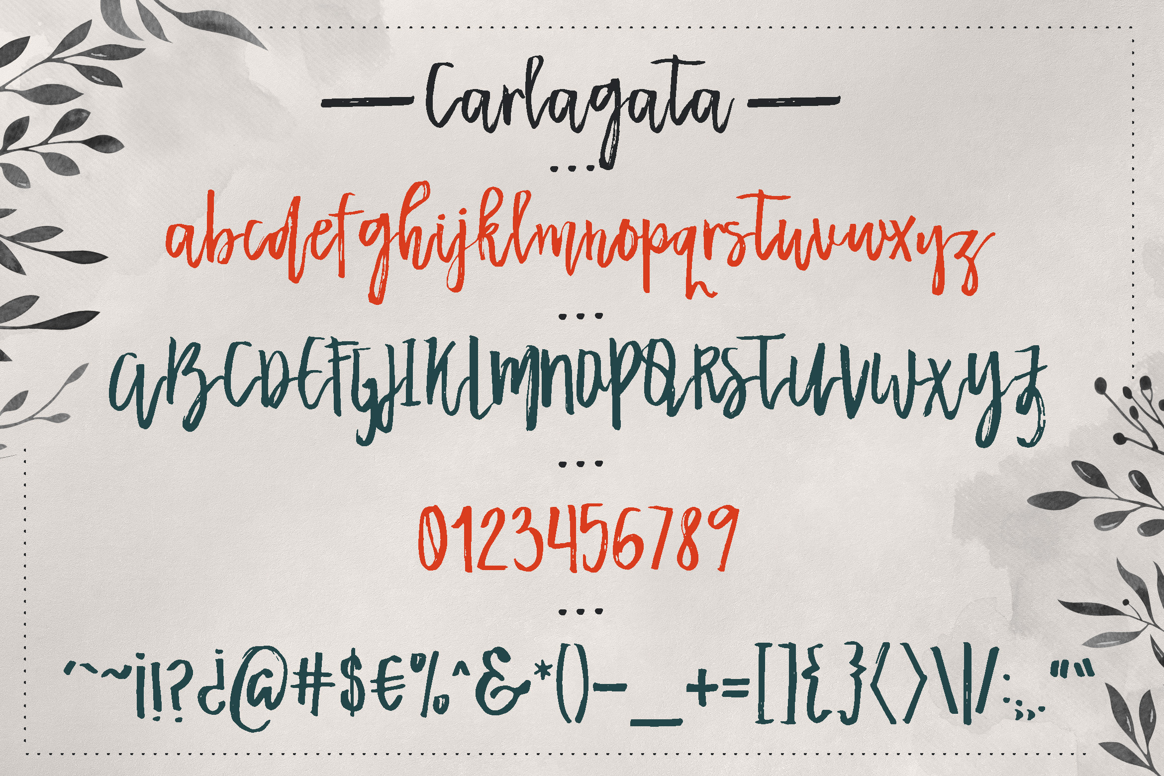 Carlagata Font - Preview 5