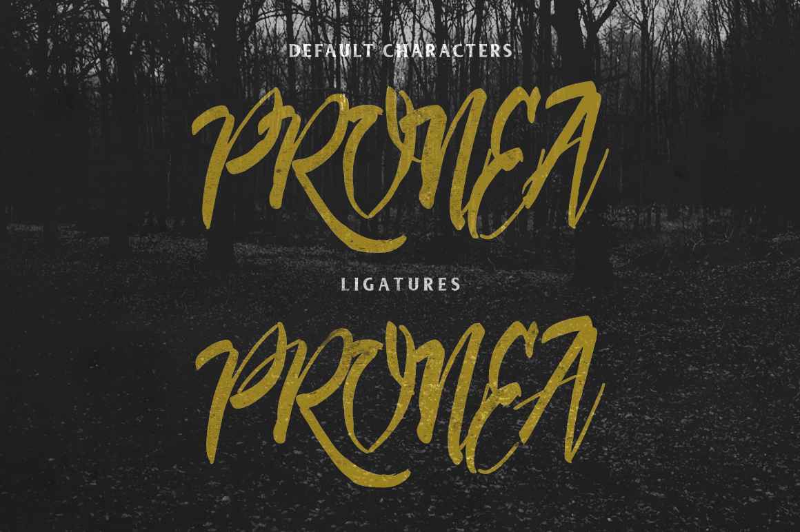 Deadhead Brush Font PNG with transparent background - Preview 3