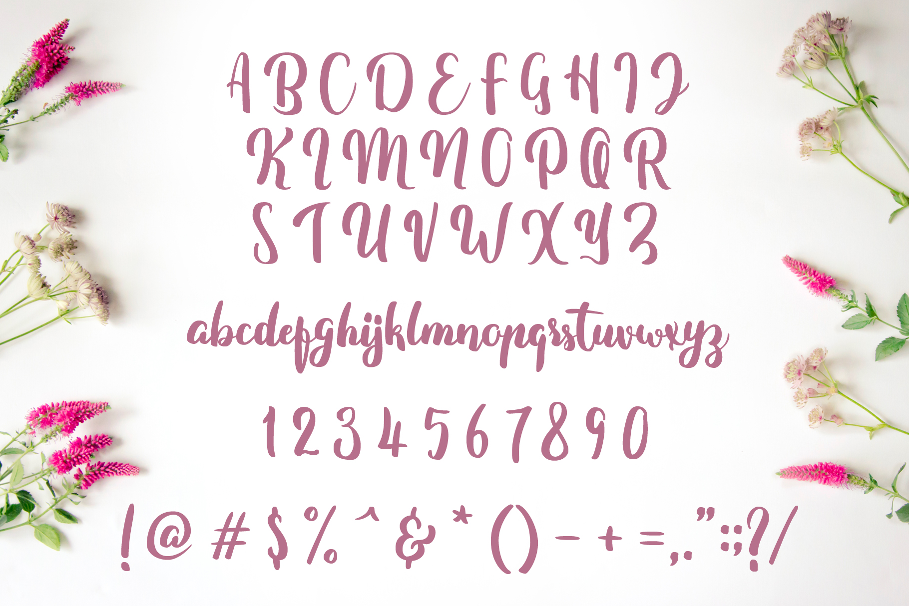 Fitamint Script Font PNG with transparent background - Preview 1