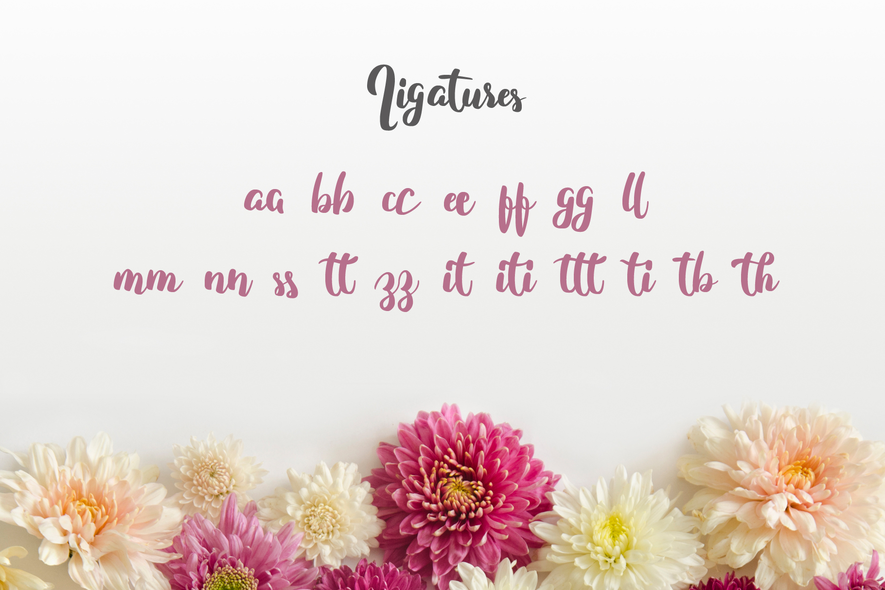 Fitamint Script Font PNG with transparent background - Preview 2