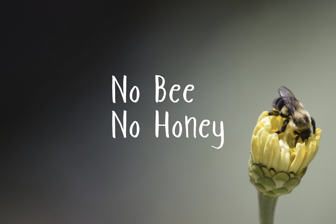 Luv Honey Font PNG with transparent background - Preview 2