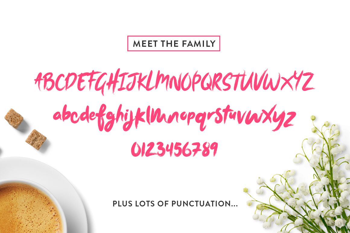 Morning Simba Script Font PNG with transparent background - Preview 4