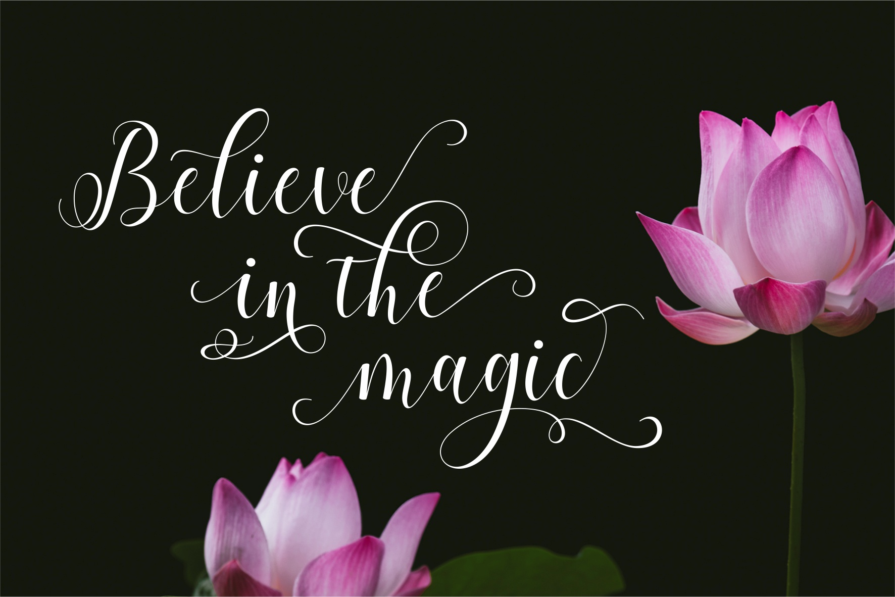 Allefia Font - Preview 1