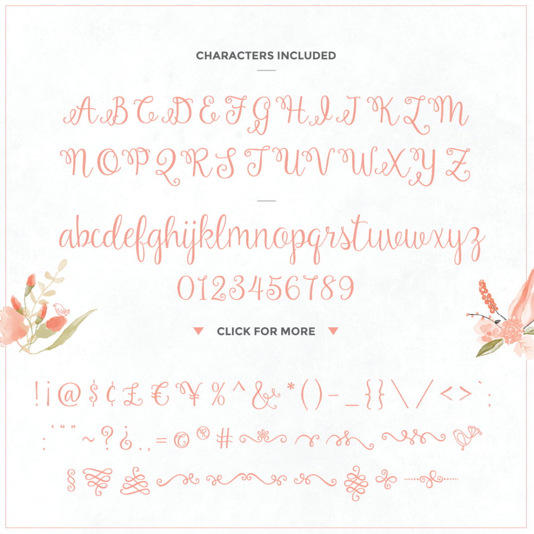 Amelia Script Font - Preview 1
