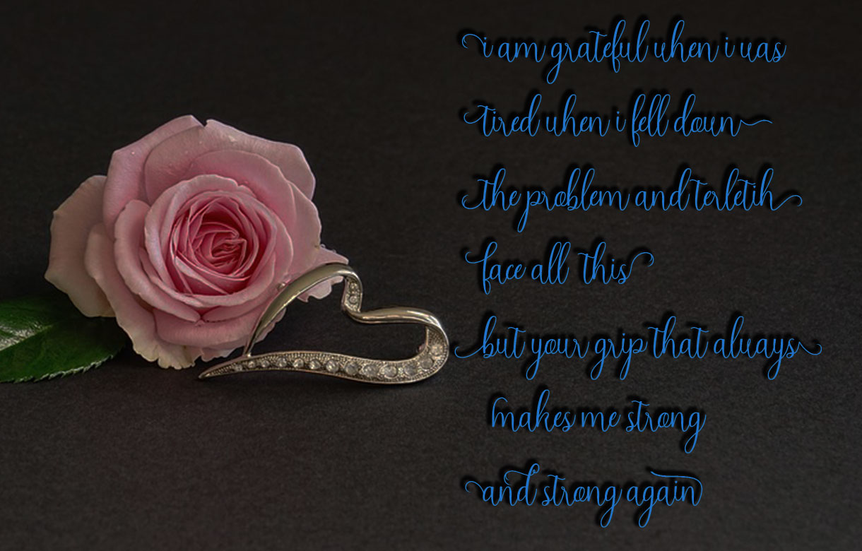 Amelia Script Font - Preview 2