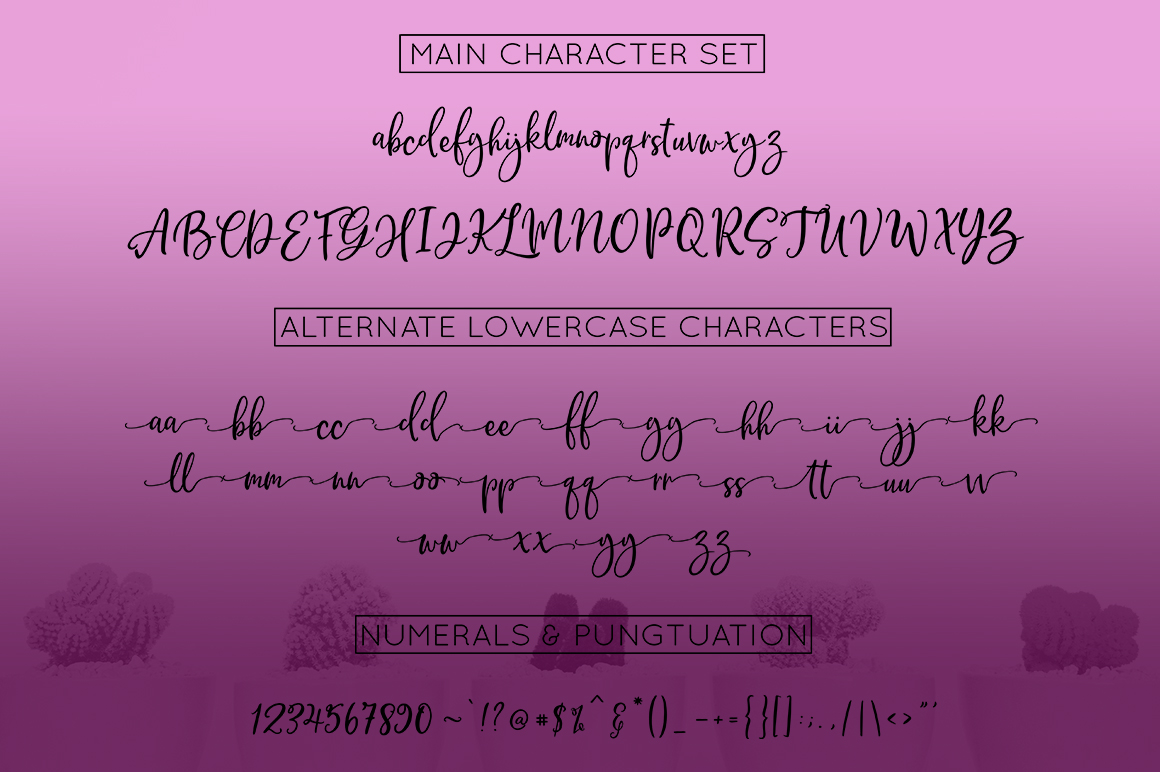 Brittania Script Font - Preview 5