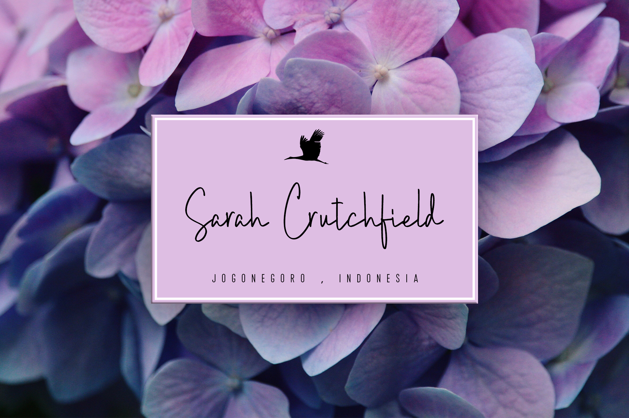 Brush Wayne Duo Font - Preview 6