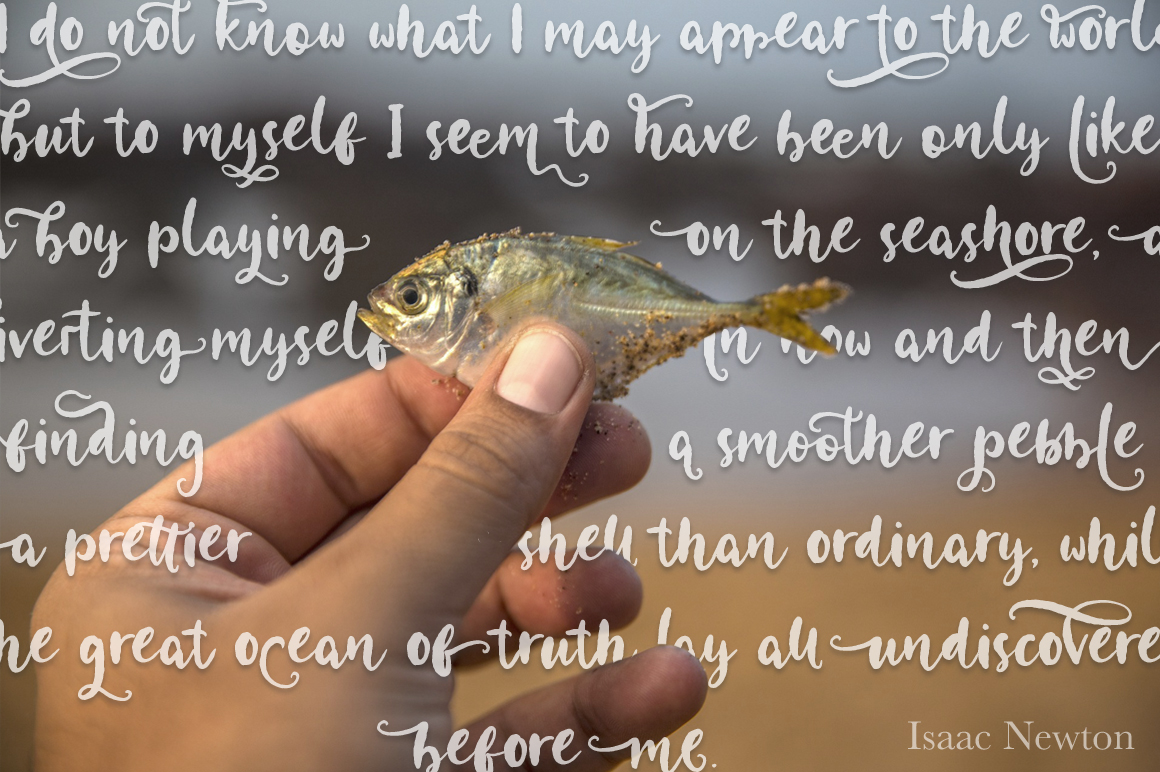 Coral Waves Font PNG with transparent background - Preview 1