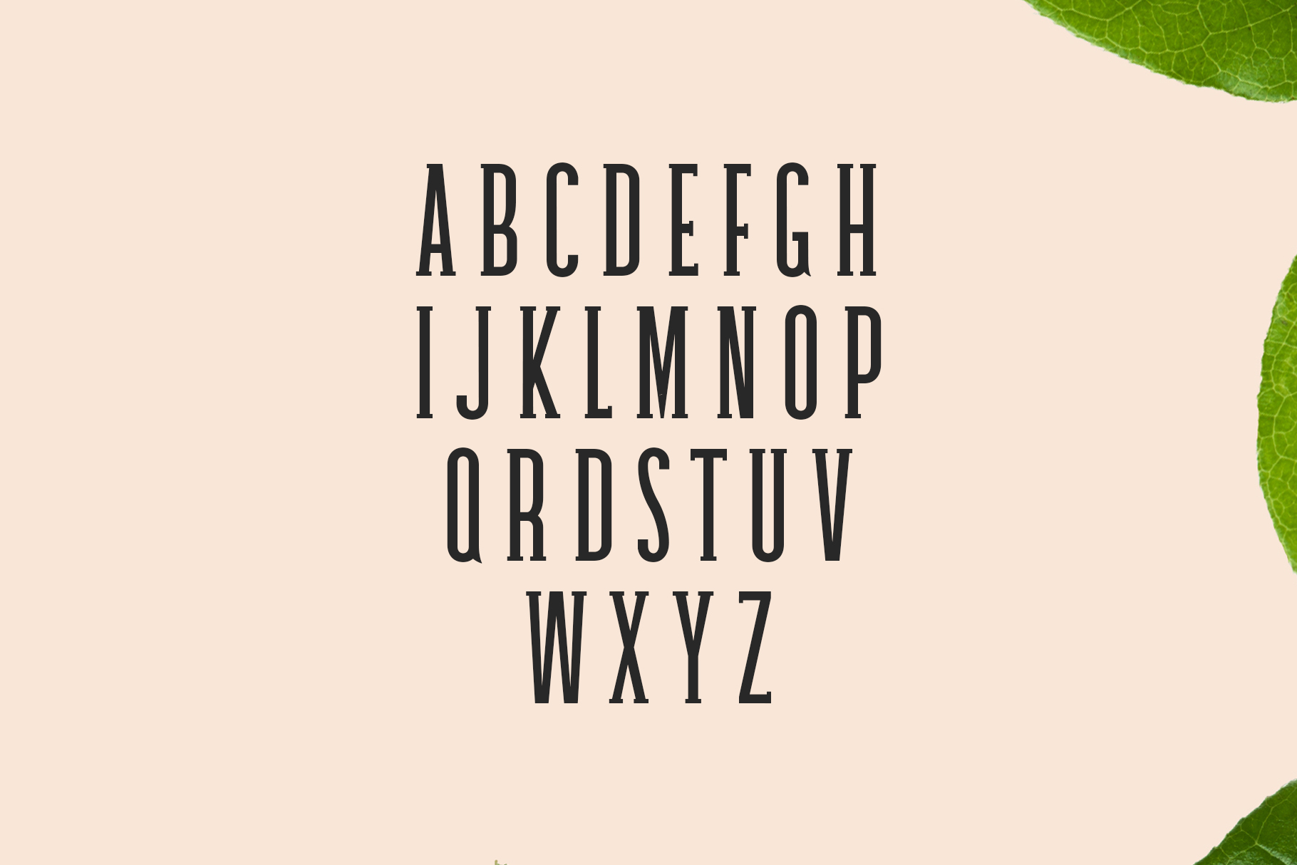 Galvin Family Pack Font - Preview 1