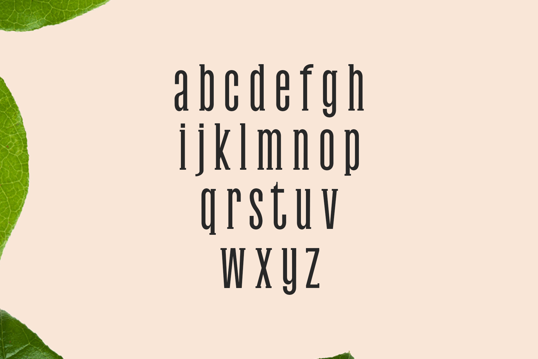 Galvin Family Pack Font - Preview 2