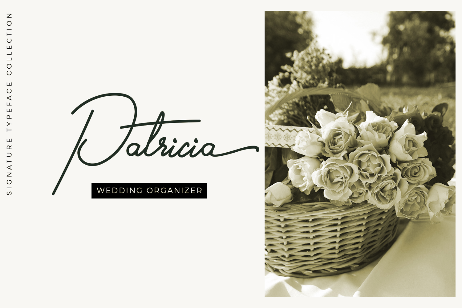 Gilberta Font - Preview 5