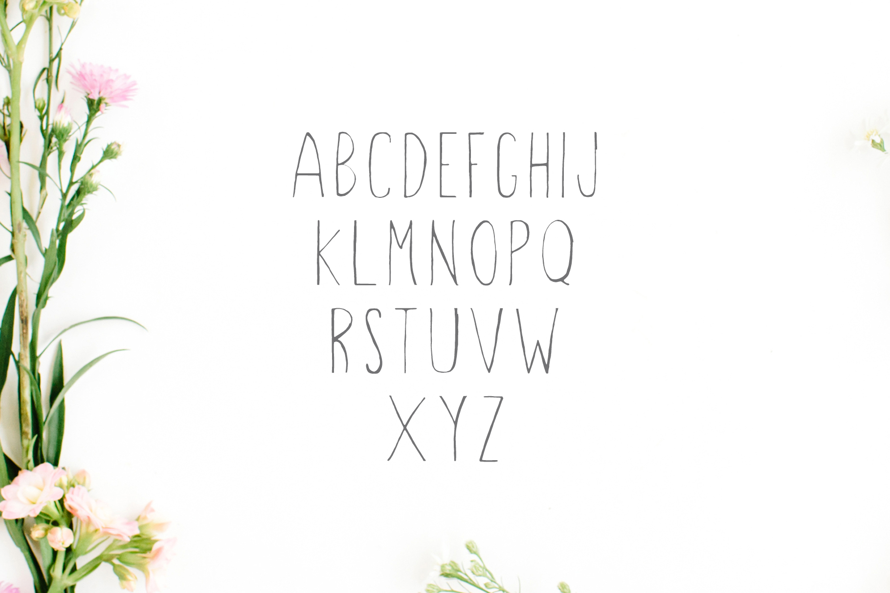 Hacca Font - Preview 1