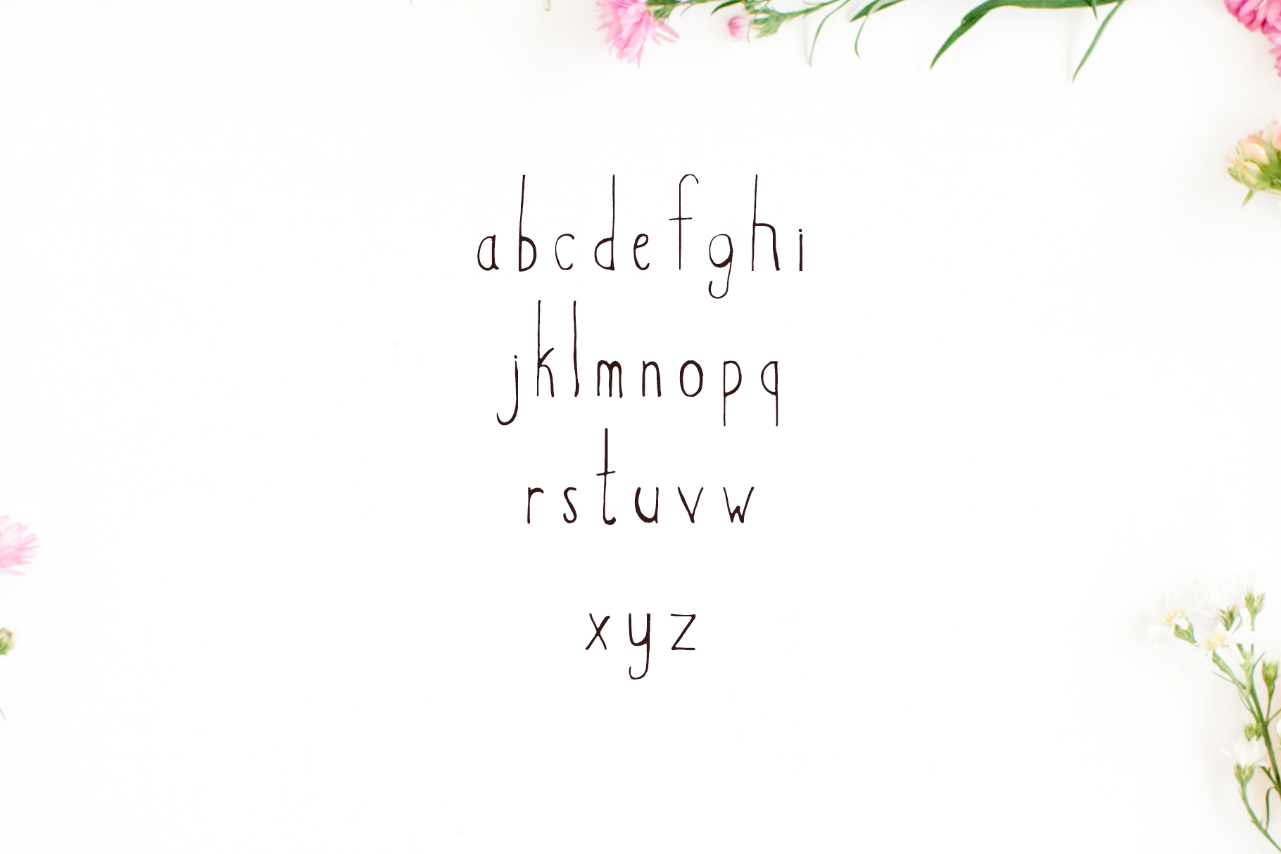 Hacca Font - Preview 2