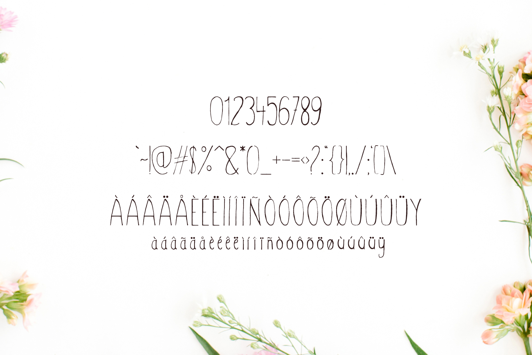Hacca Font - Preview 3