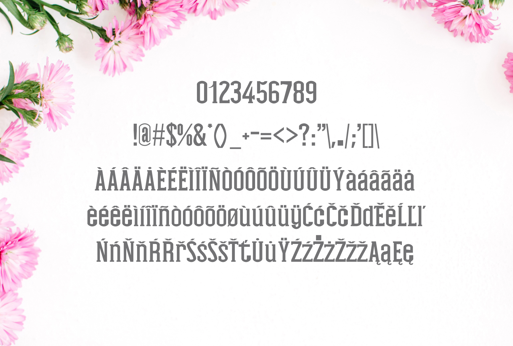 Nasya Font PNG with transparent background - Preview 3