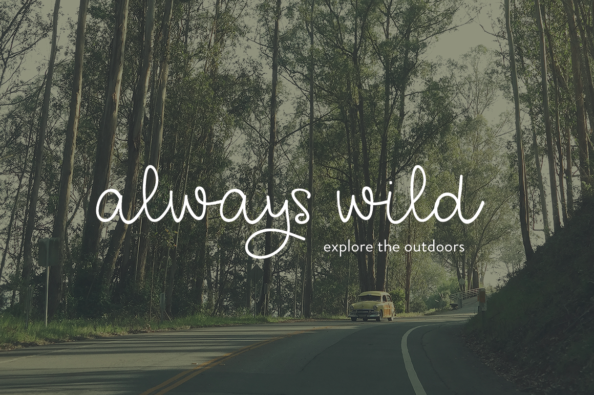 Nutmeg Script Font PNG with transparent background - Preview 1