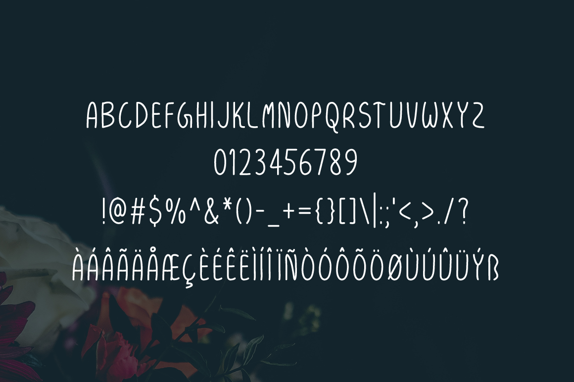 Rishima Light Font font preview - 4