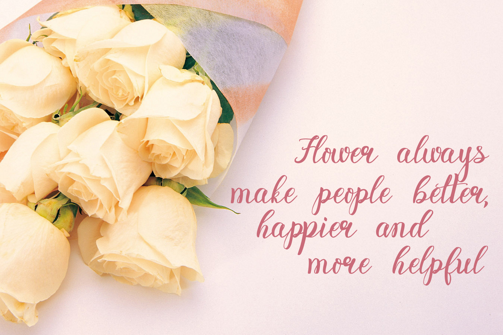 Rosita Script Font PNG with transparent background - Preview 1