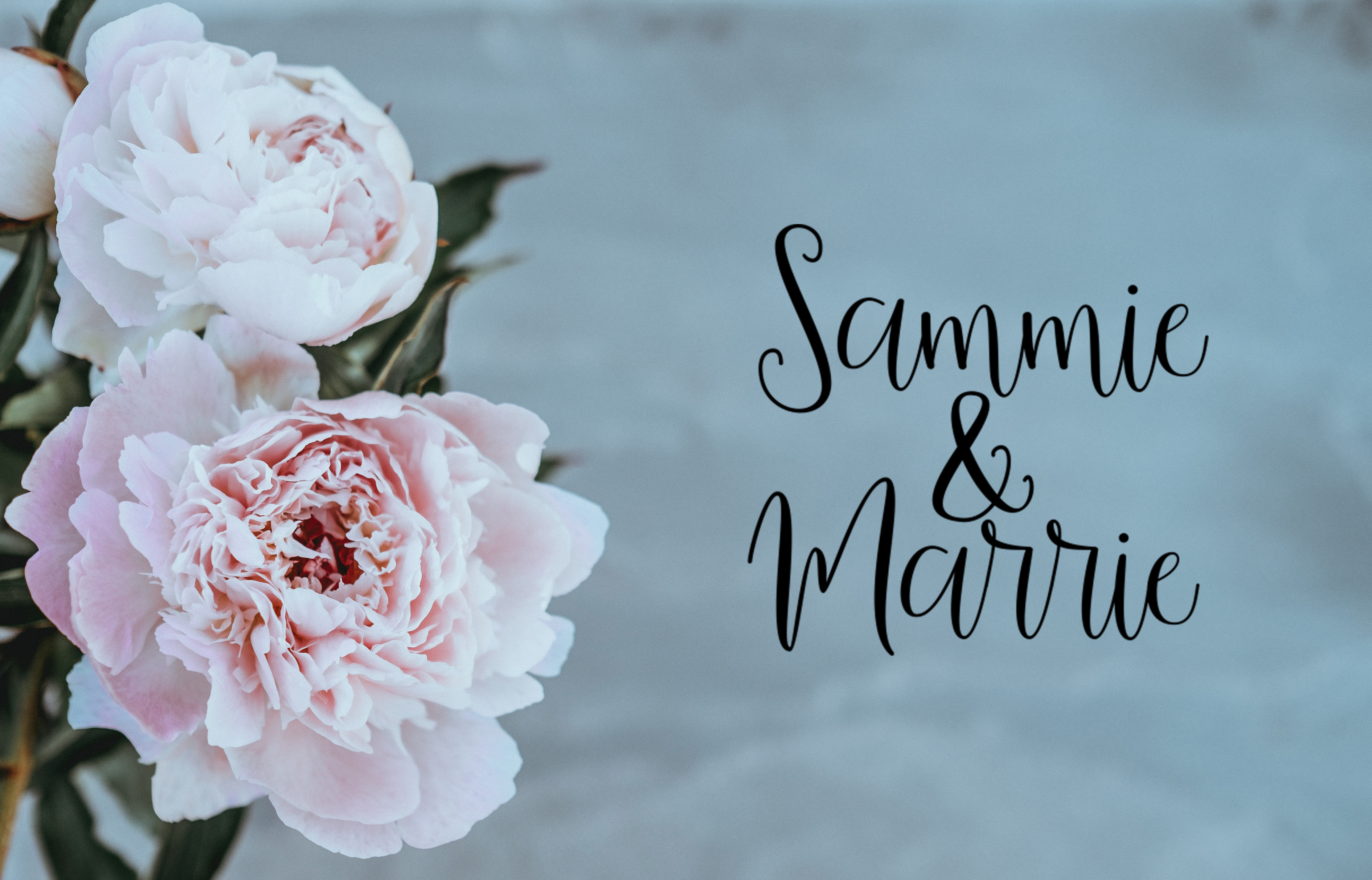 Samantha 's Script Font PNG with transparent background - Preview 3