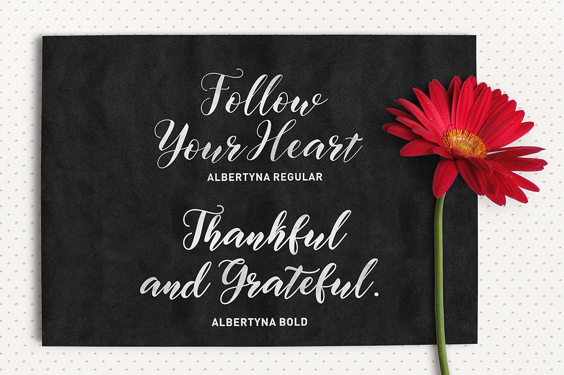Albertyna Font - Preview 4