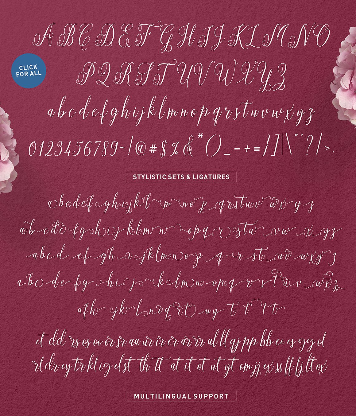 Aneisha Script Font - Preview 3