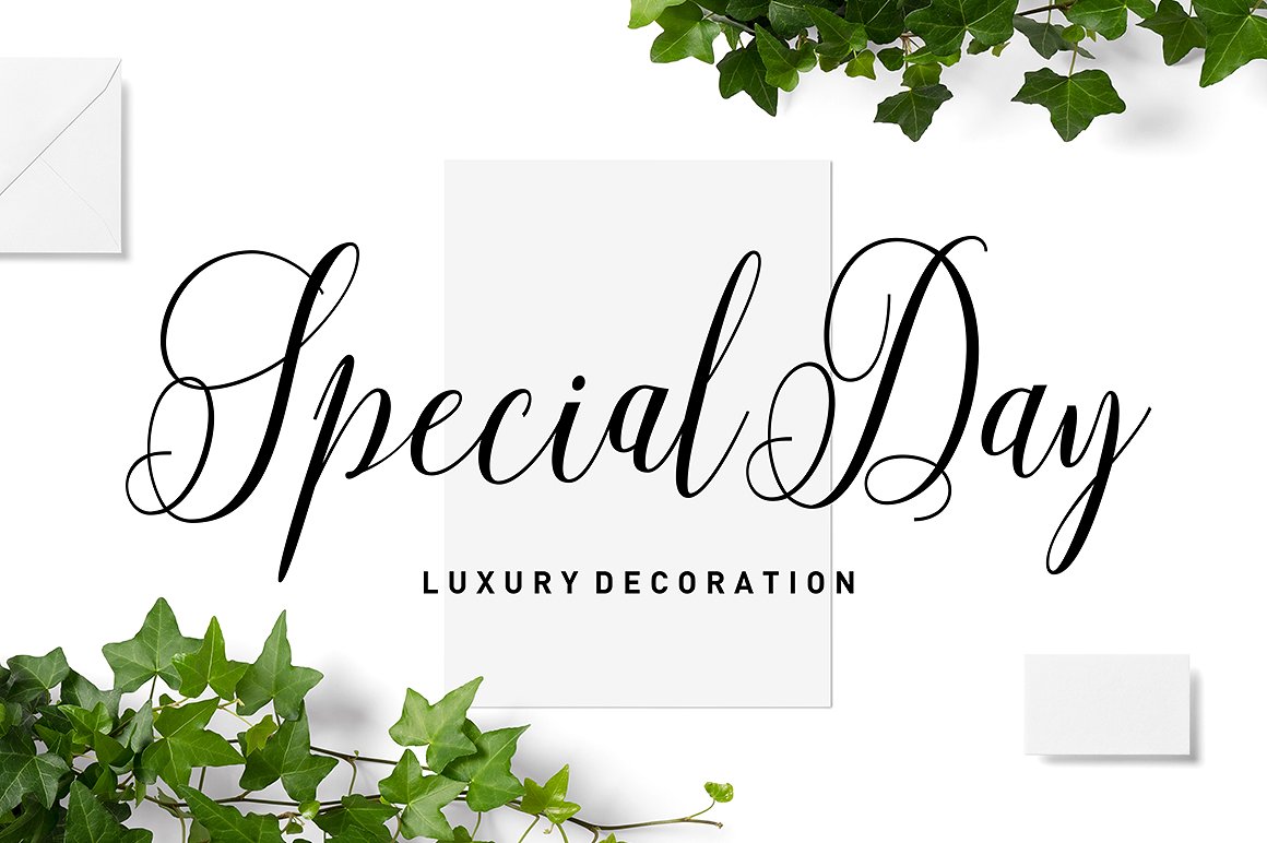Aneisha Script Font - Preview 6