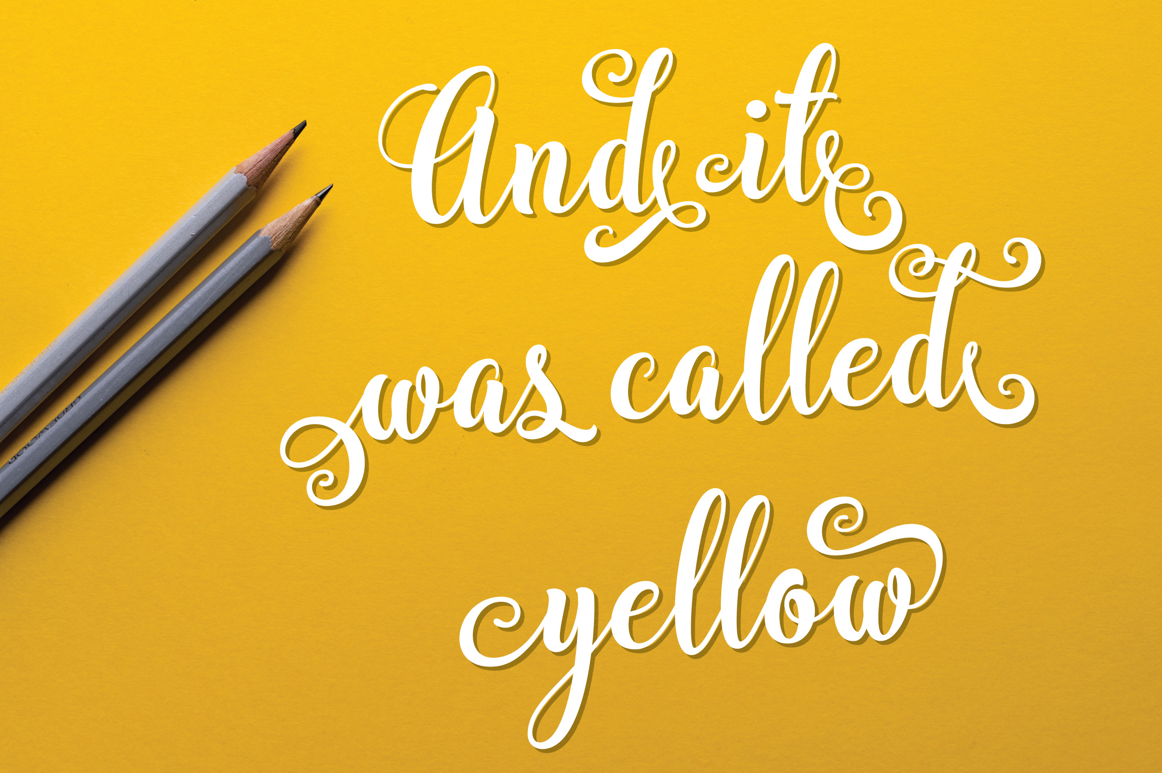 Bargain Script Font - Preview 4