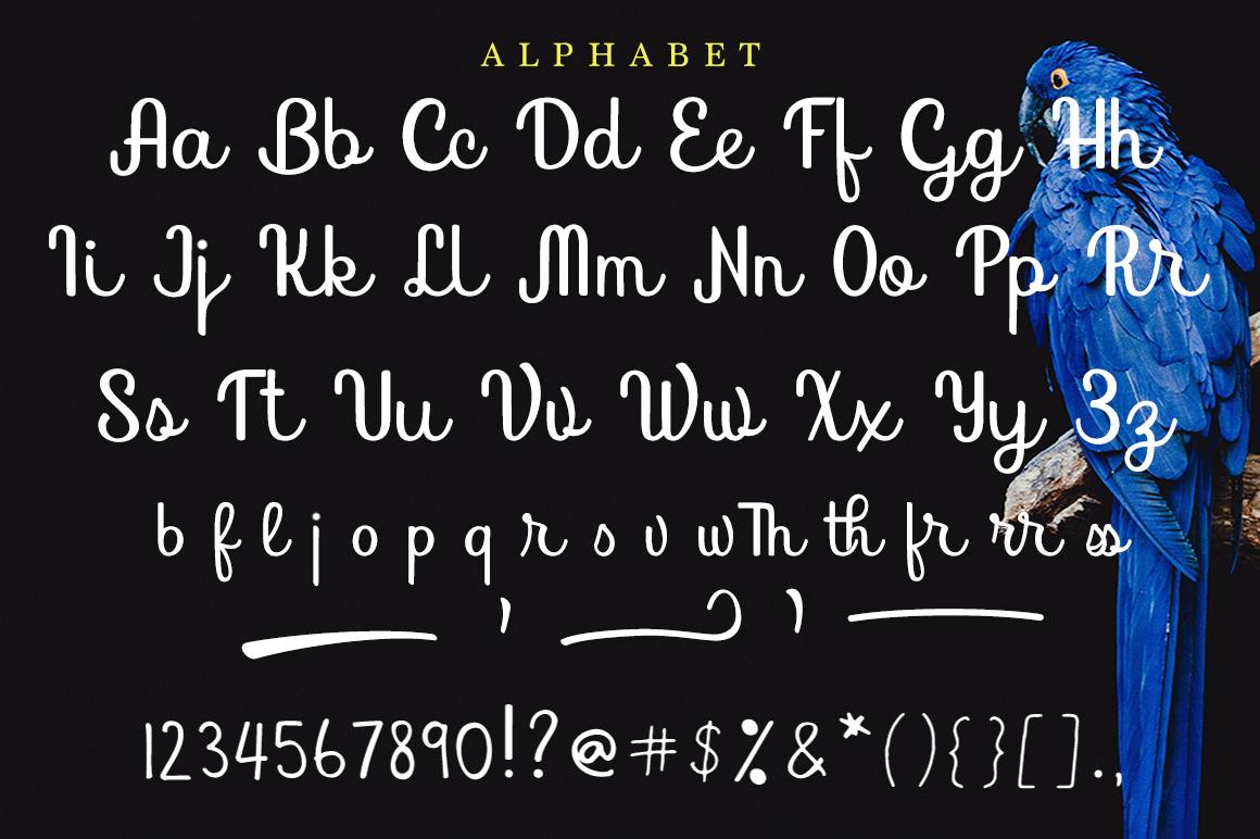 Bird House Font - Preview 5