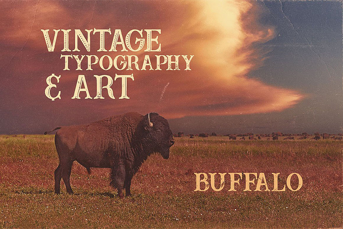 Buffalo Font - Preview 2