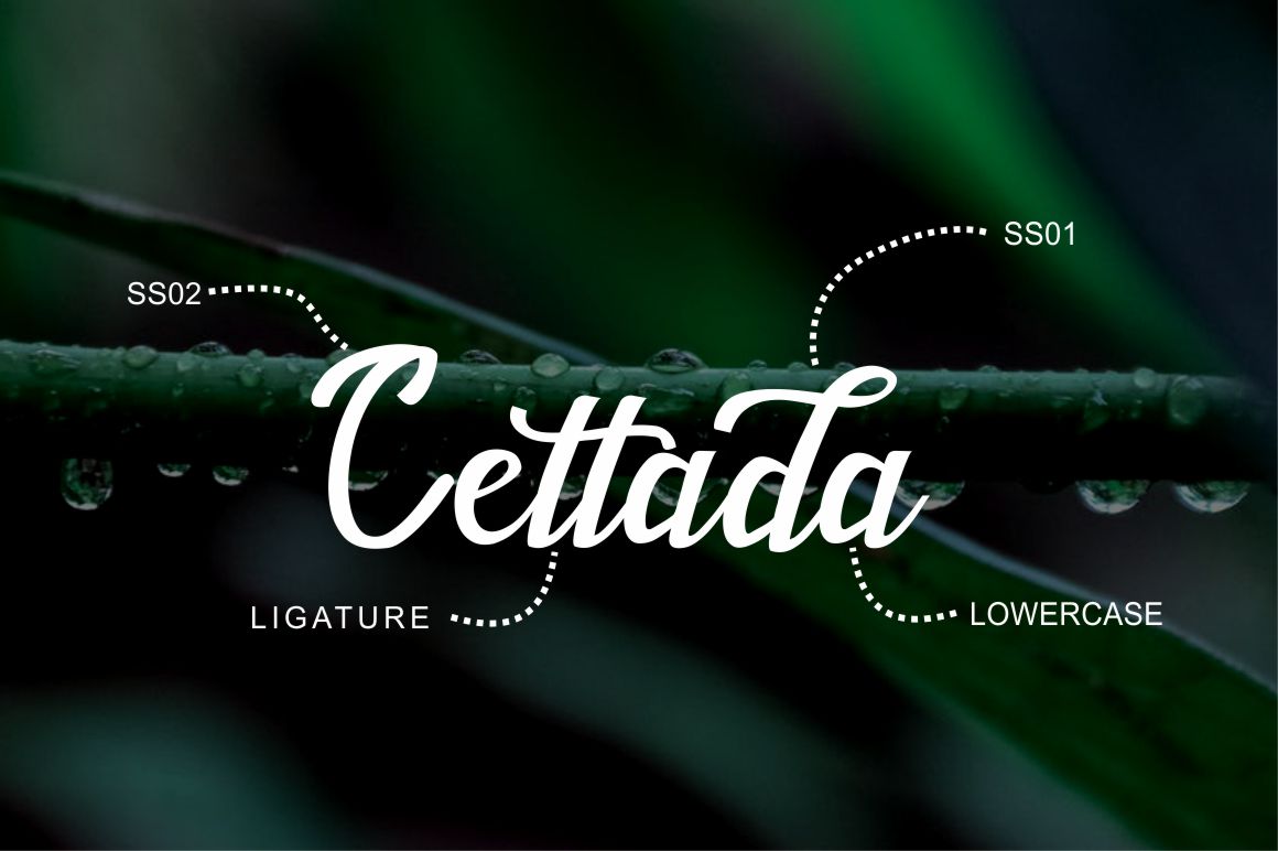 Dekade Font - Preview 4
