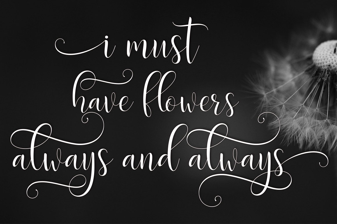 Delight Script Font - Preview 3