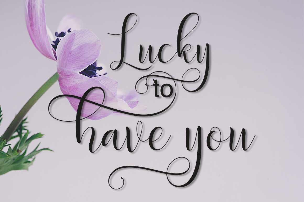 Delight Script Font - Preview 5