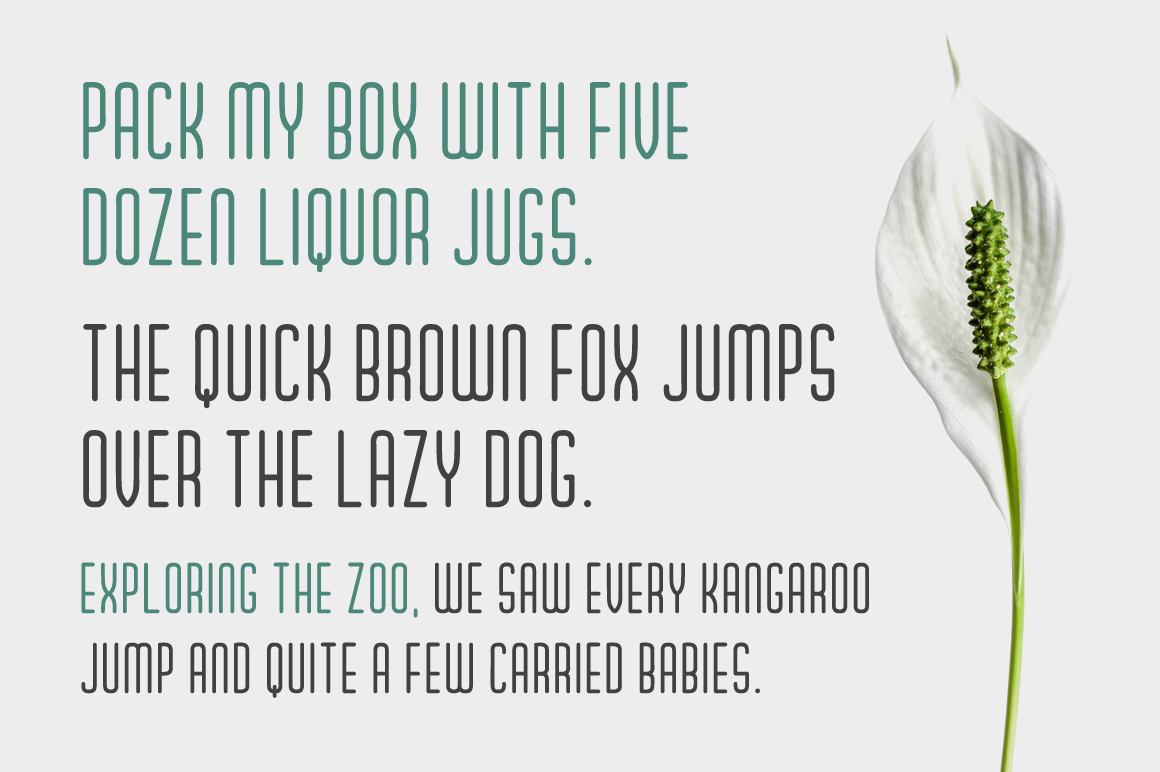 Proxisol Font PNG with transparent background - Preview 5