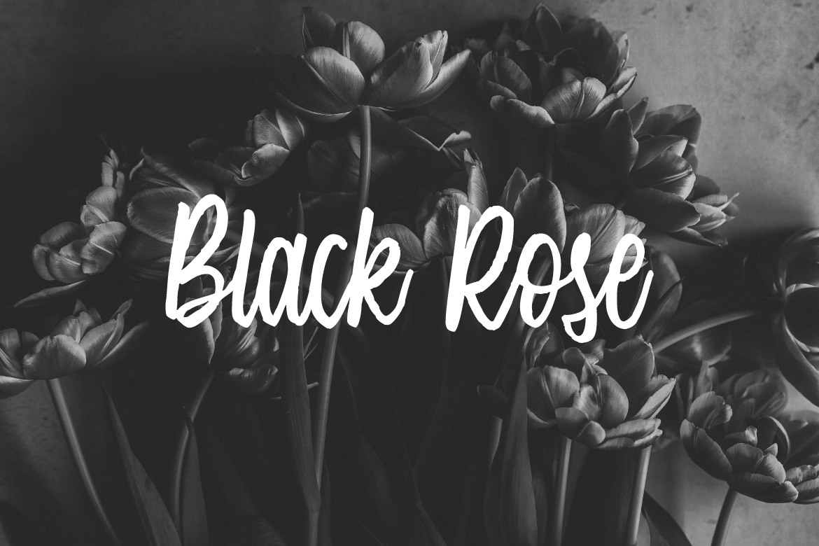 Single Brand Font PNG with transparent background - Preview 1