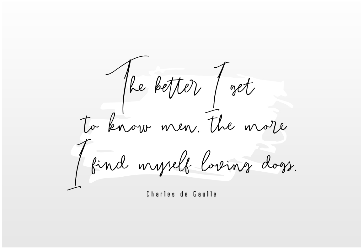 Bitlamero Script Font - Preview 3