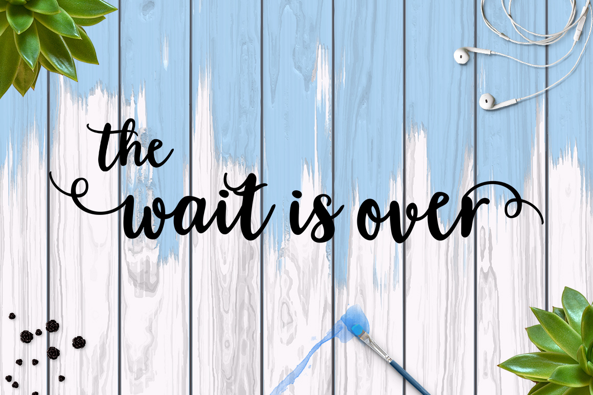 Blossom Script Font  Font - Preview 3