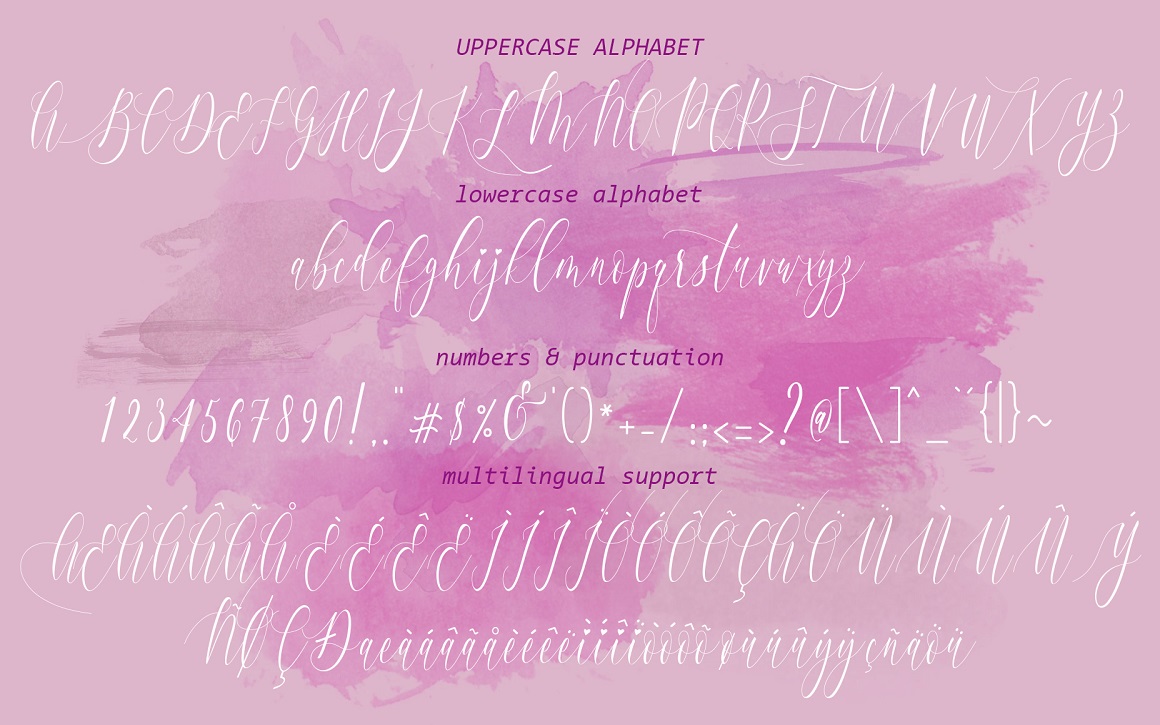 Charlotte Calligraphy Font - Preview 5
