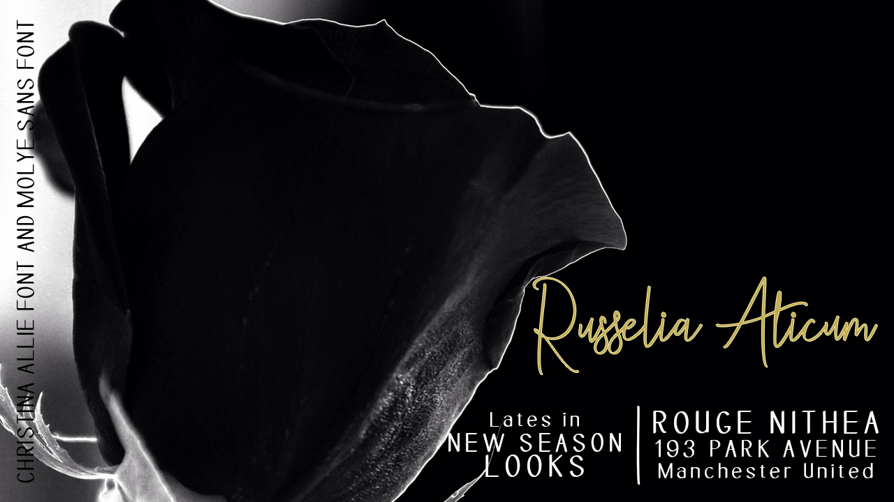Christina Allie Font PNG with transparent background - Preview 4