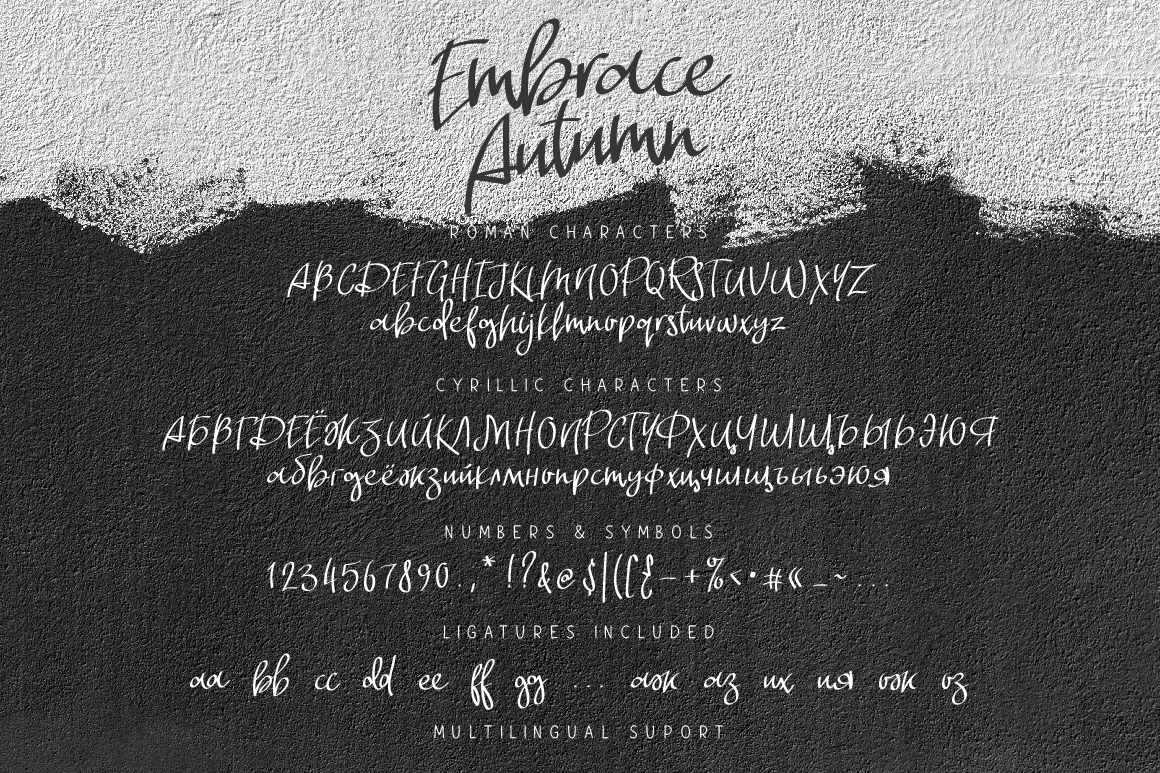 Embrace Autumn Font - Preview 6