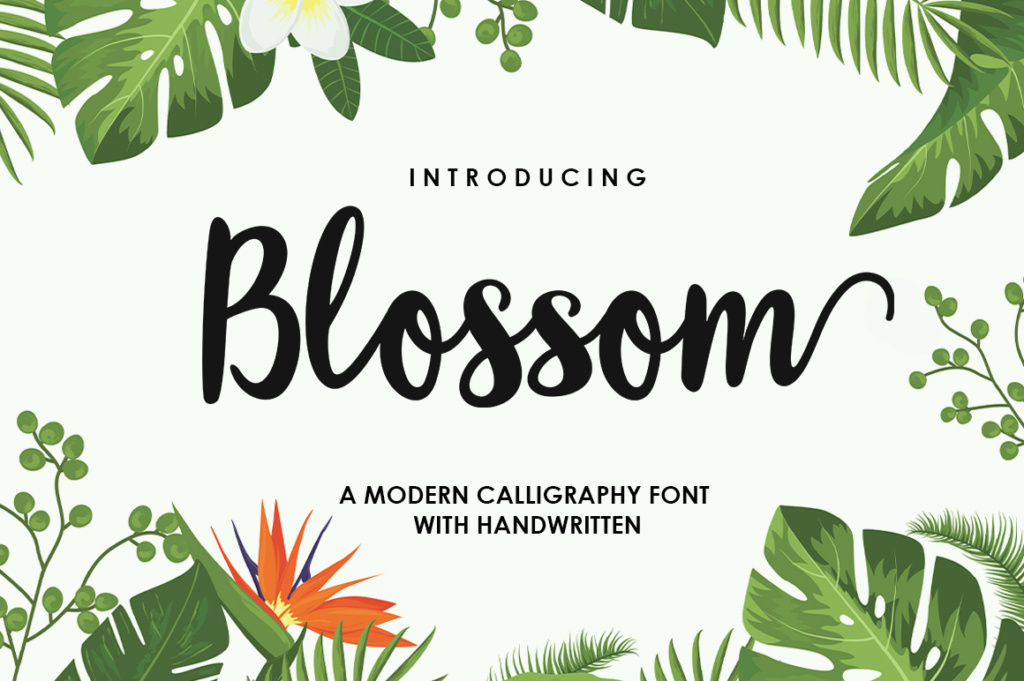 Blossom Script preview, modern script font