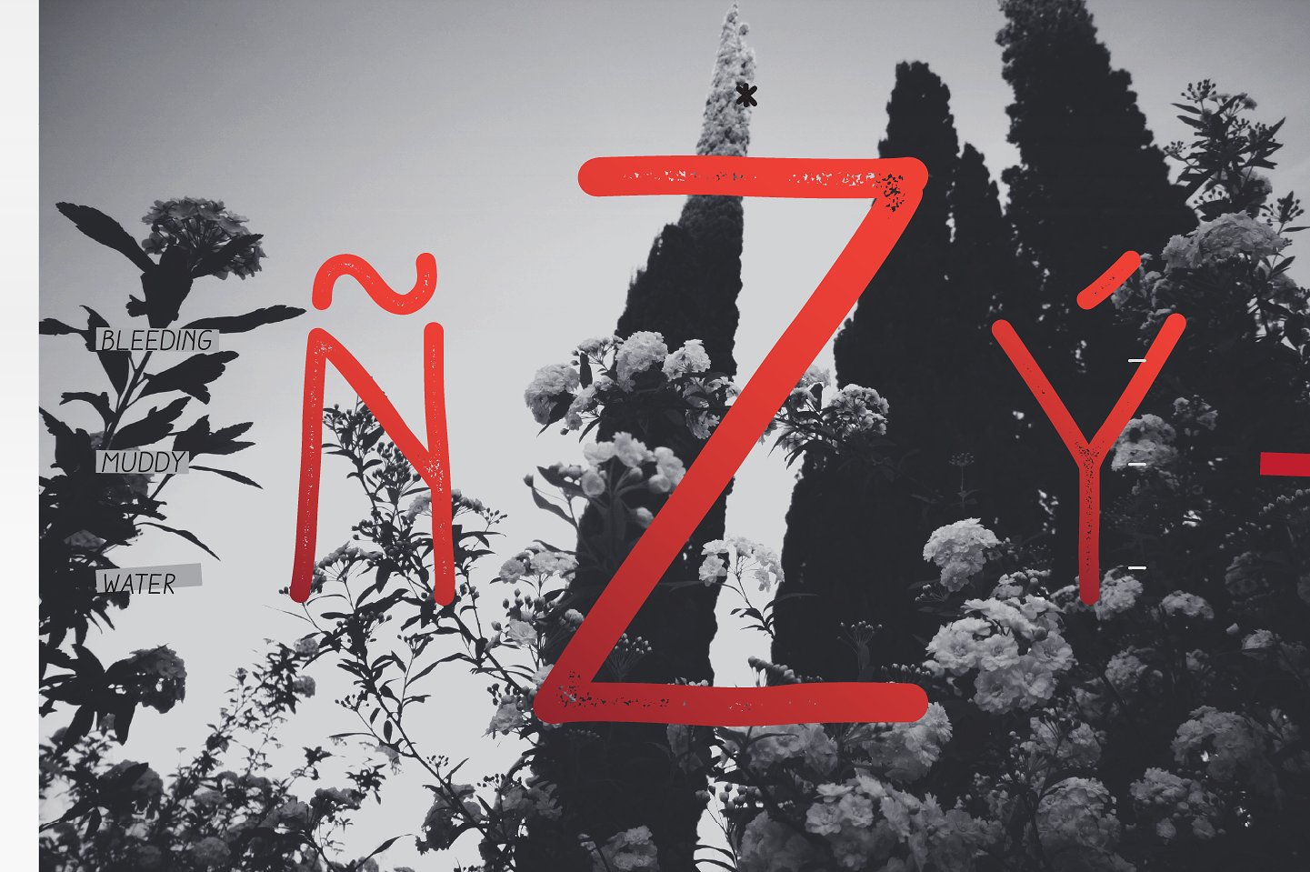 Aracne Condensed Font - Preview 5