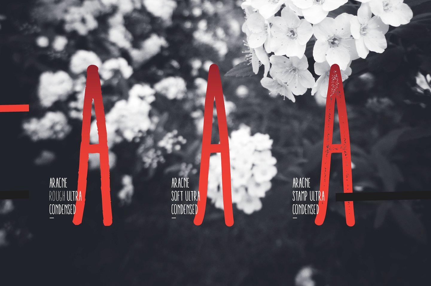 Aracne Ultra Condensed Font - Preview 2