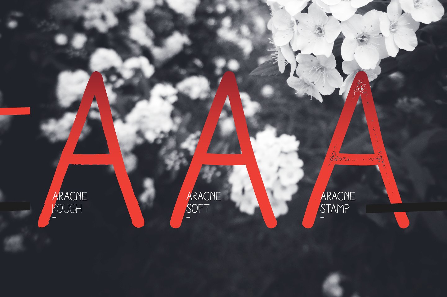 Aracne Font - Preview 2