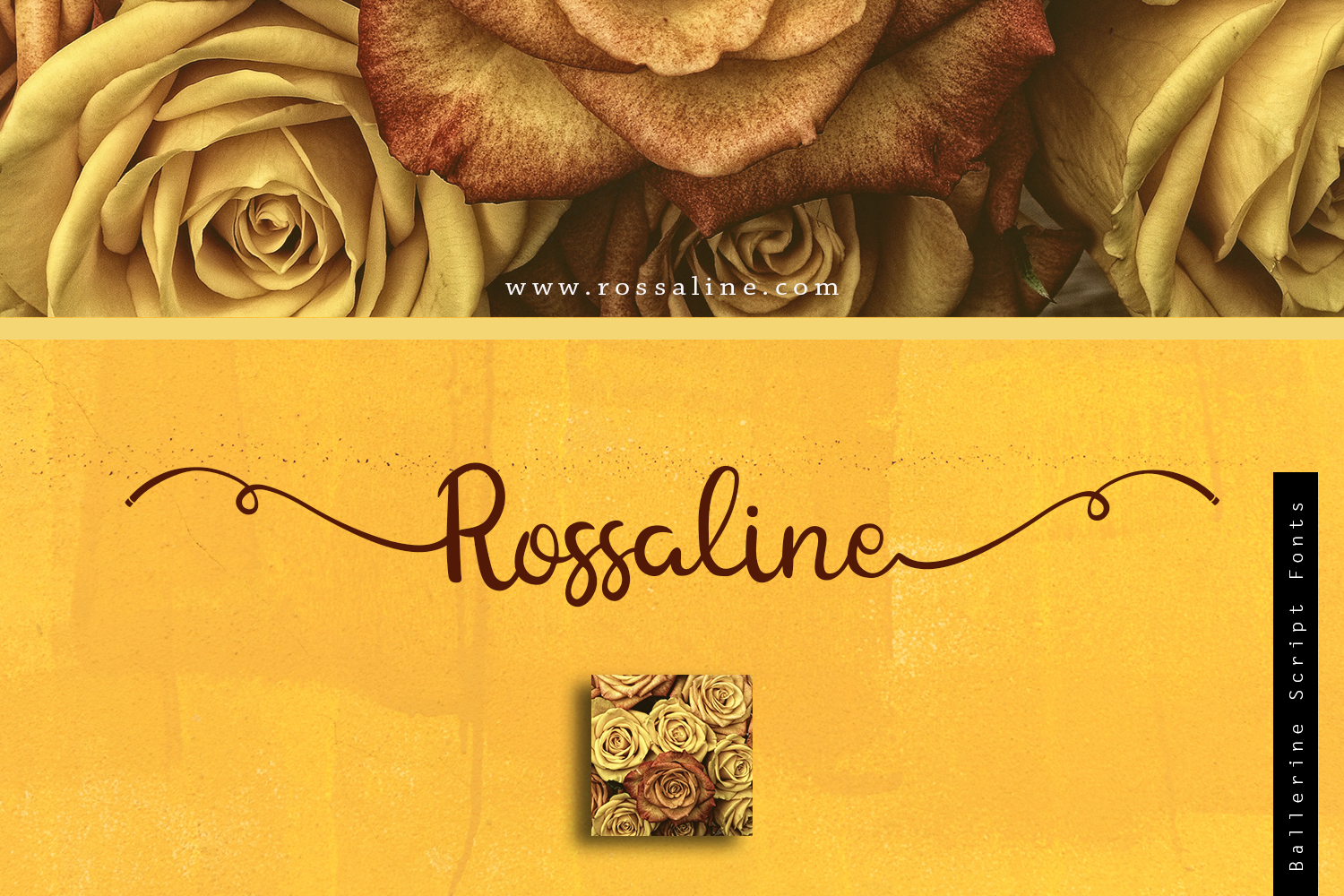 Ballerine Font PNG with transparent background - Preview 1