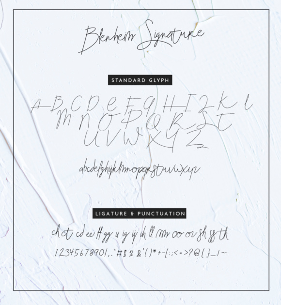 Blenheim Signature Font - Preview 5