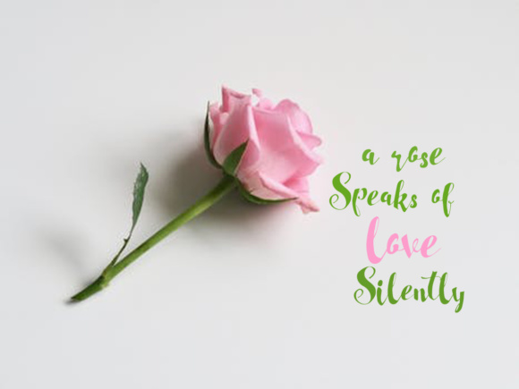 Bold Lovely Font - Preview 5