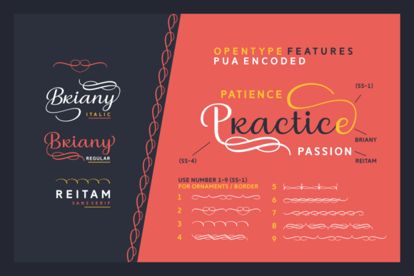 Briany Font - Preview 4
