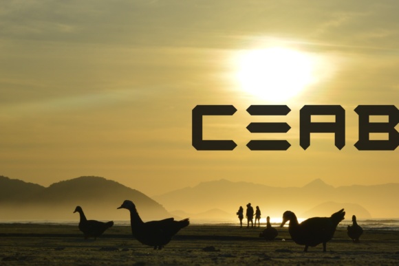 CEAB Font PNG with transparent background - Preview 2
