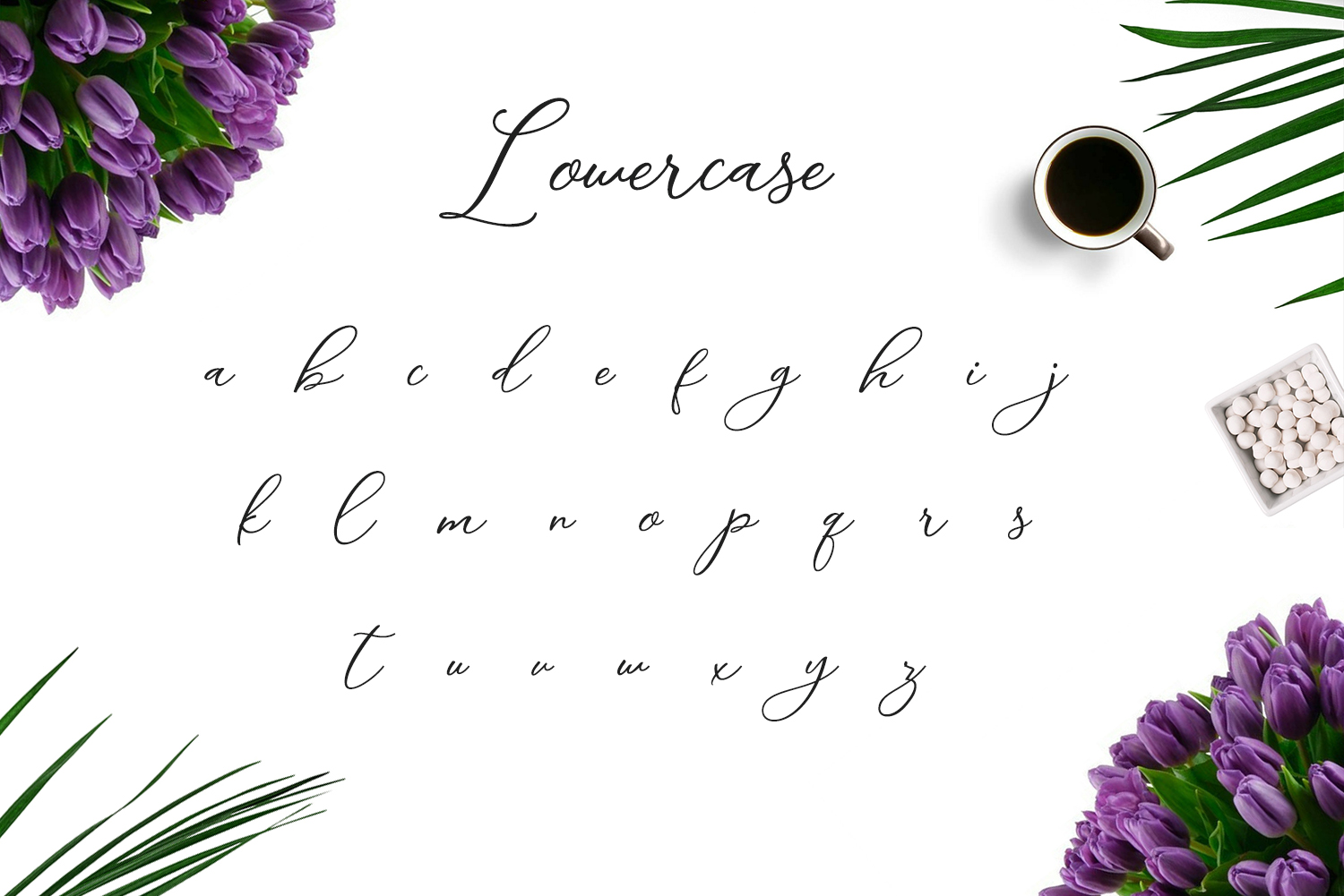 Camomile Script Font - Preview 2